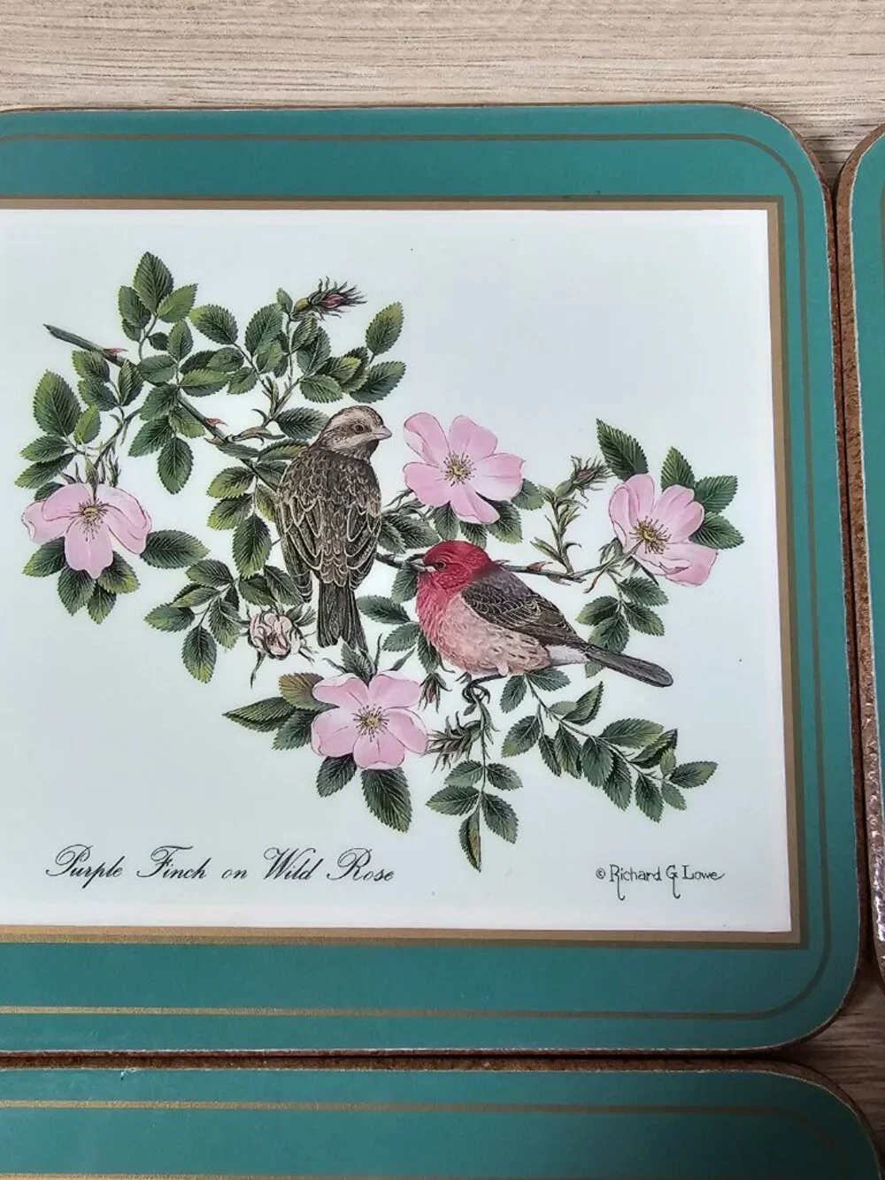 Pimpernel Coasters Set of 6 Birds Cork Back Green Richard G Lowe Made in England